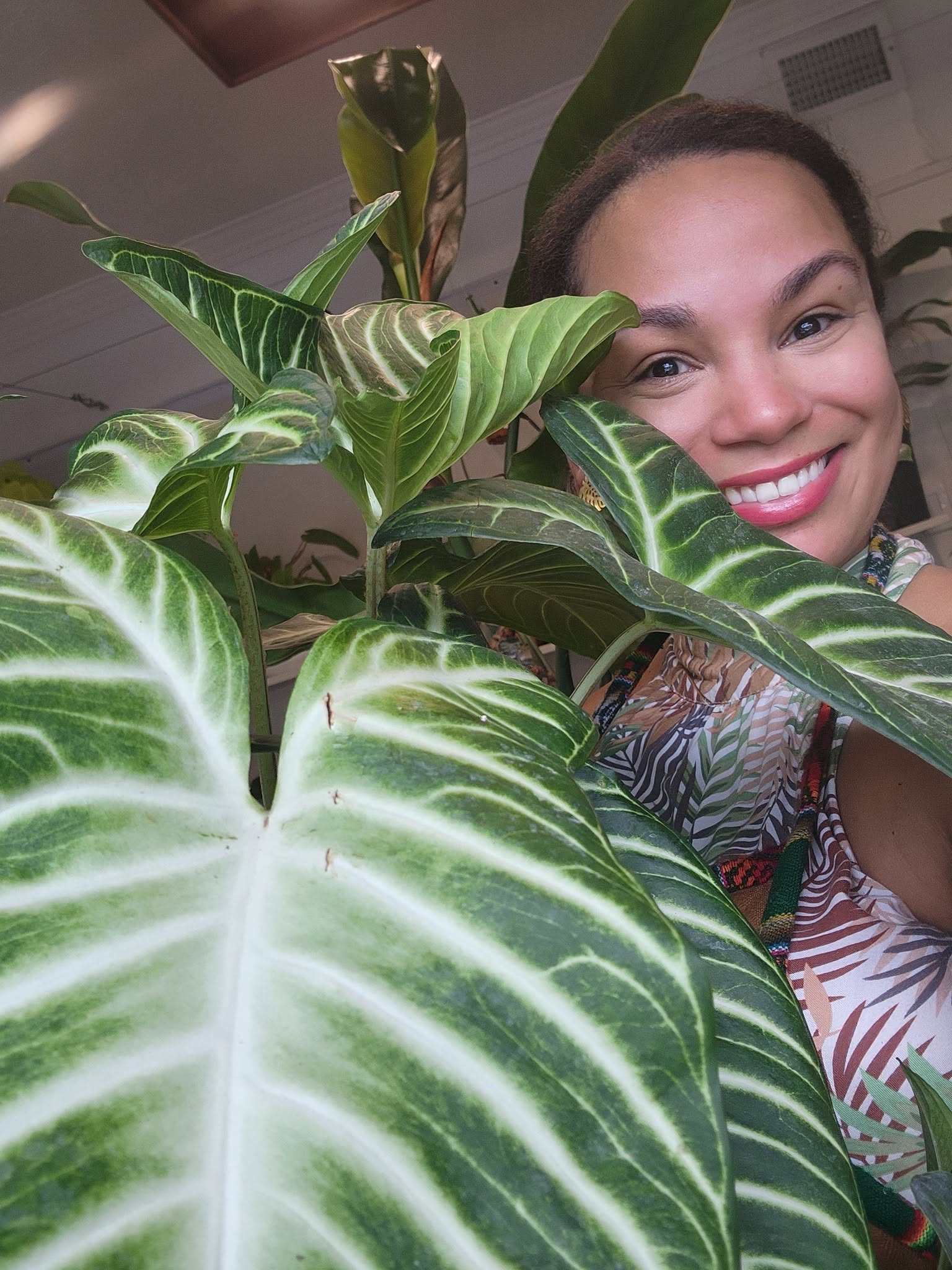 Houseplants