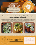 10.3.26 | Pumpkin Succulent Arrangement @ Betelgeuse Betelgeuse