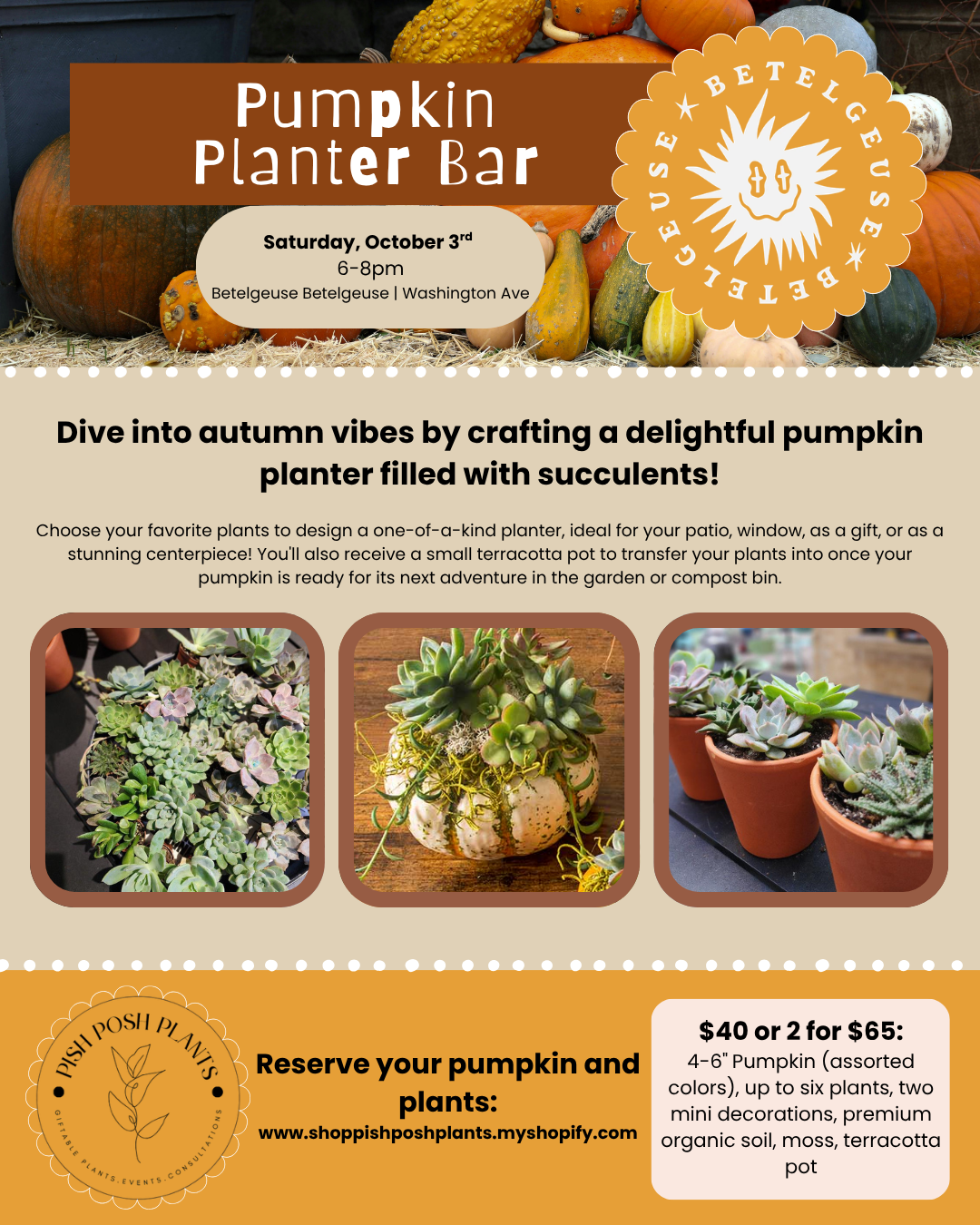 10.3.26 | Pumpkin Succulent Arrangement @ Betelgeuse Betelgeuse
