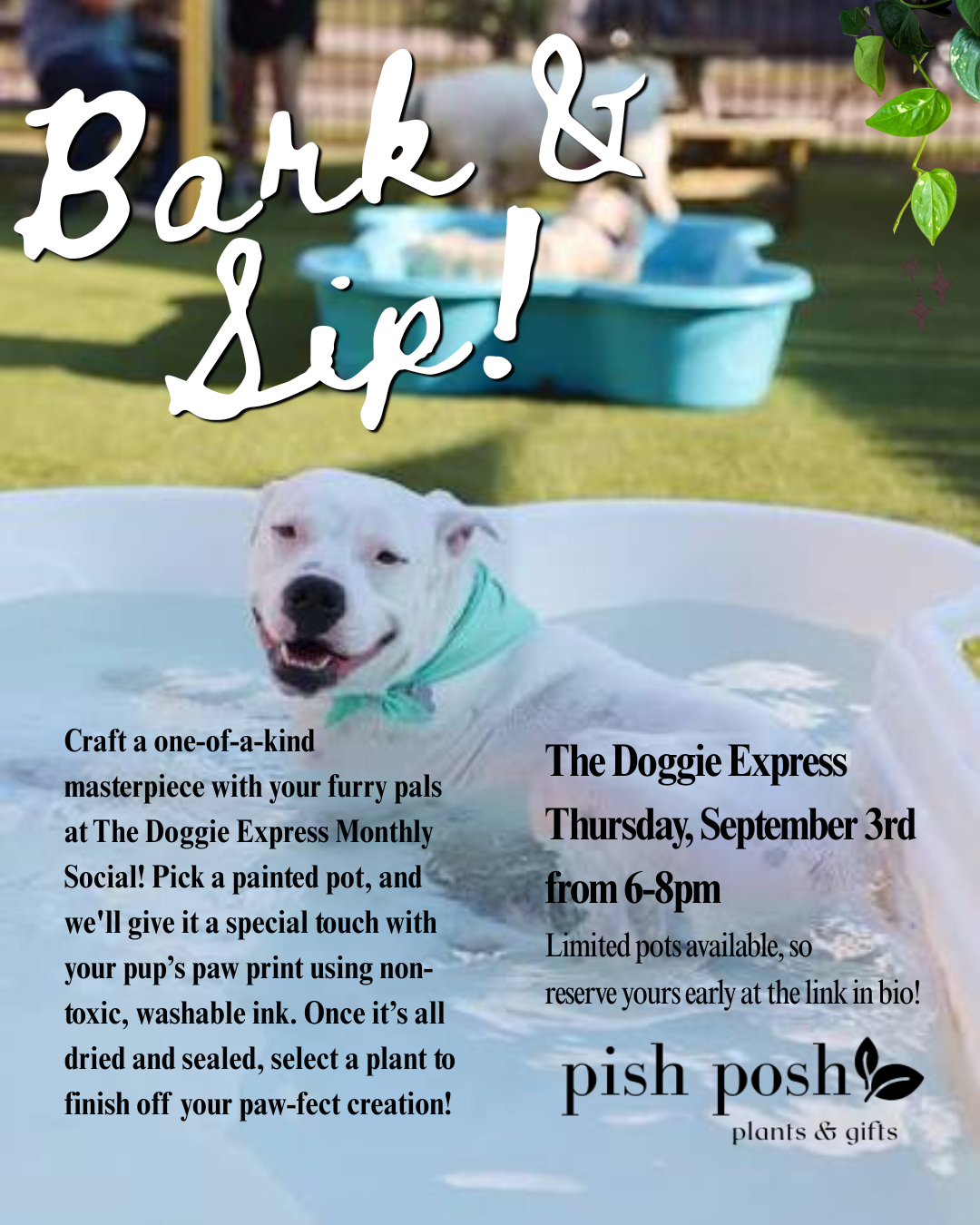 9.3.26 | Pots & Paws at the Bark & Sip!
