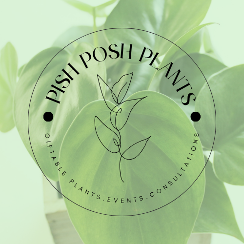 Pish Posh Plants Gift Card