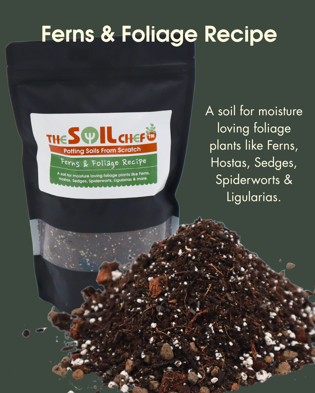 Ferns and Foliage Recipe by The Soil Chef