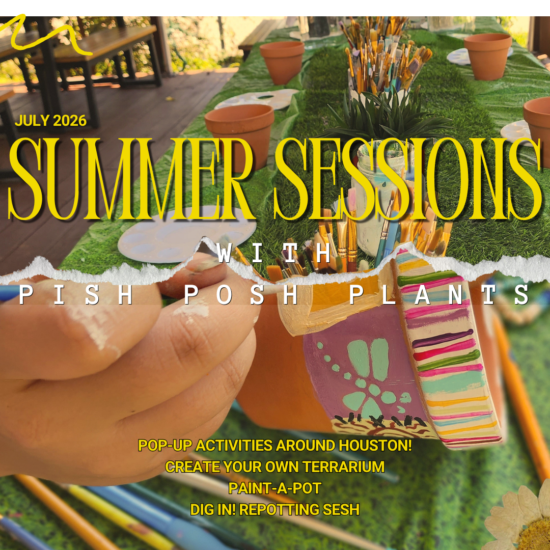SUMMER SESSIONS: Create a Terrarium | 7/18 & 7/22