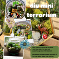 SUMMER SESSIONS: Create a Terrarium | 7/18 & 7/22
