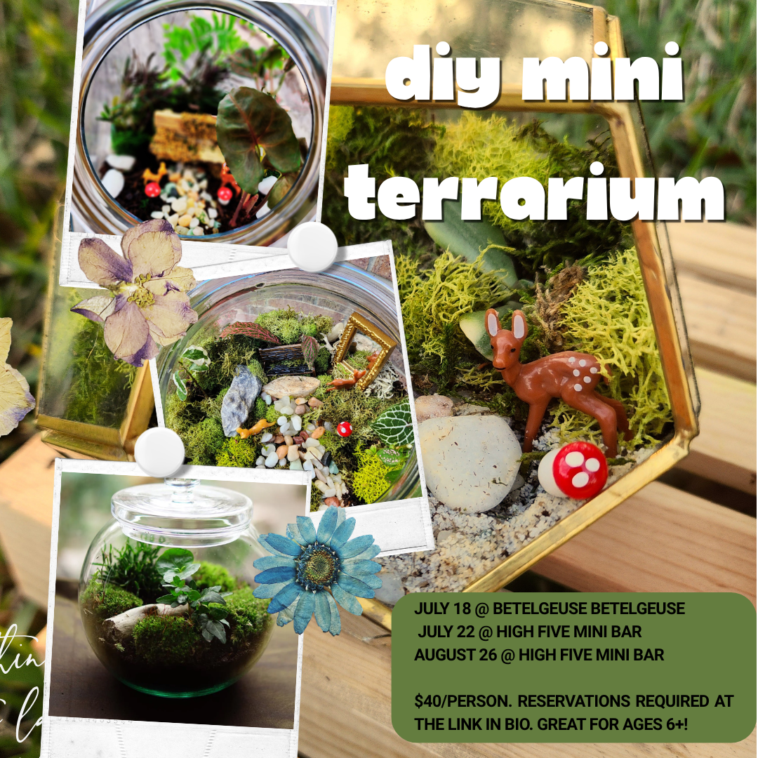 SUMMER SESSIONS: Create a Terrarium | 7/18 & 7/22